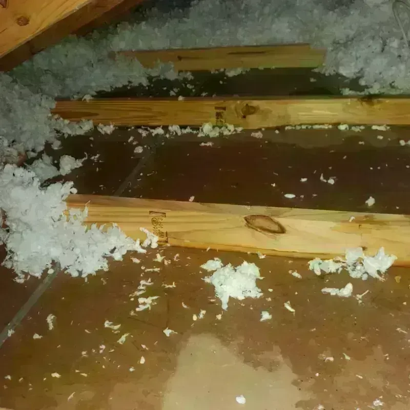 Attic Water Damage in Marion, MA