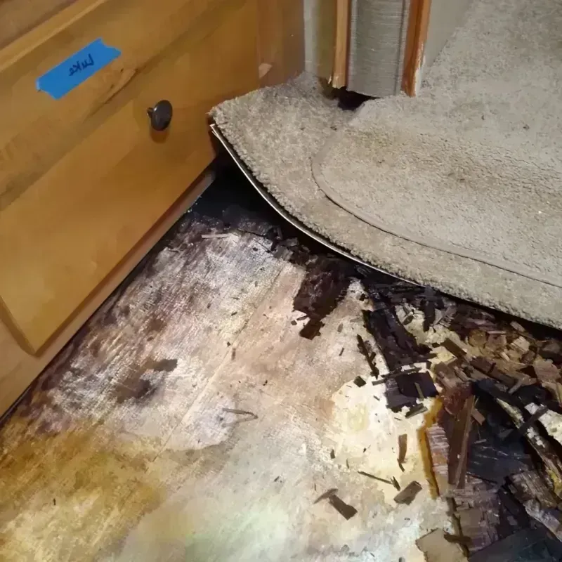 Wood Floor Water Damage in Marion, MA